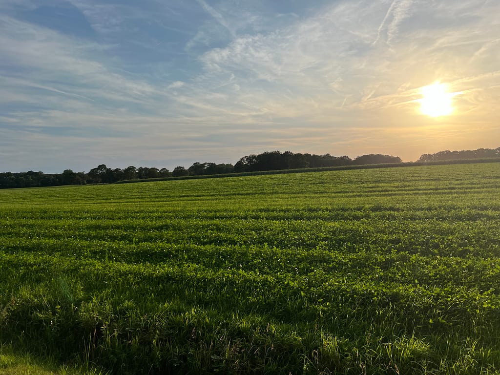 Natuur rondom vakantiehuis 't Hulzen Achterhoek — wandelen en fietsen